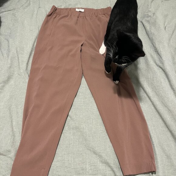 Aritzia Babaton Dexter Pants - Beige - Size M - Picture 2 of 3